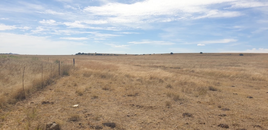  Bedroom Property for Sale in Bloemfontein Rural Free State